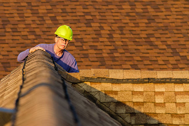 Best Roof Repair Services  in Montevlo, AL